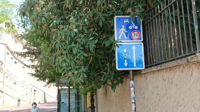 Alexandre Coutureau - ville de saint-cloud